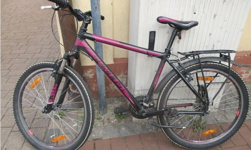 Eigentümer gesucht. Foto: Polizei