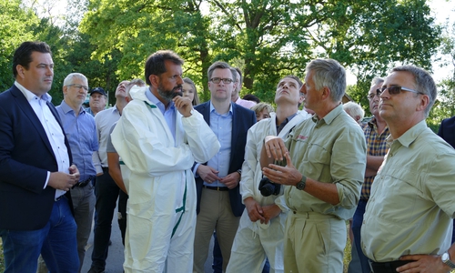 Der Niedersächsische Umweltminister Olaf Lies informiert sich in der Gemeinde Parsau über den Eichenprozessionsspinner-Befall  im Landkreis Gifhorn (vordere Reihe v.l.n.r. Tobias Heilmann, Mitglied des Landtags, Umweltminister Olaf Lies, Landrat Dr. Andreas Ebel und Vertreter der Niedersächsischen Landesforsten. Foto: Landkreis Gifhorn