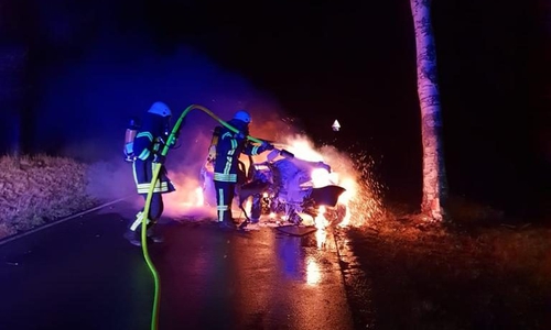 Ein Auto ging in Flammen auf, nachdem es gegen einen Baum prallte. Fotos: Feuerwehr Ochsendorf