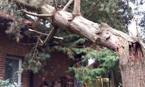 In Meinersen stürzte ein Baum auf ein Haus. Foto: Feuerwehr Meinersen