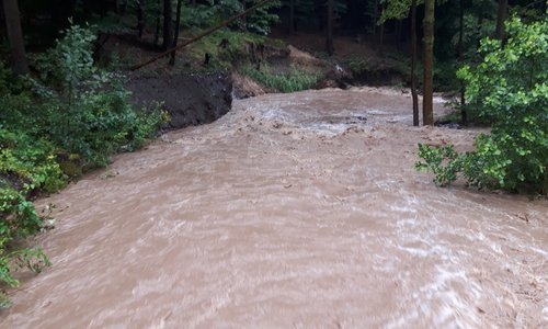 Hangrutschungen, Geröll und Unterspülungen: Starkregen beschädigt Waldwege, Brücken und Durchlässe im Niedersächsischen Landeswald. Foto: Landesforsten