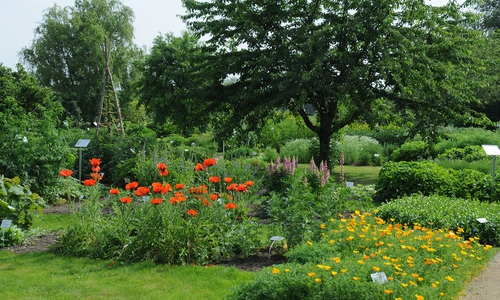 Statur aus Garten gestohlen. Foto: privat