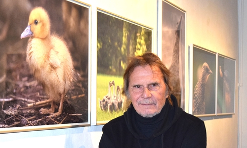 Uli Stein zeigt im Goslarer Museum Fotos und Cartoons von Tieren. Foto: Stadt Goslar