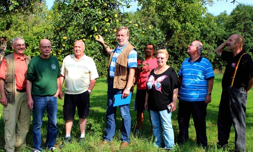 Obst wird versteigert. Foto: Bernd-Uwe Meyer