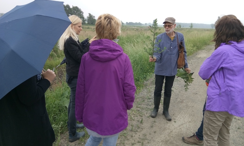 Der Kräuterexperte Heiner Schrobsdorff erklärt essbare Kräuter. Foto: Horst-W. Gilarski