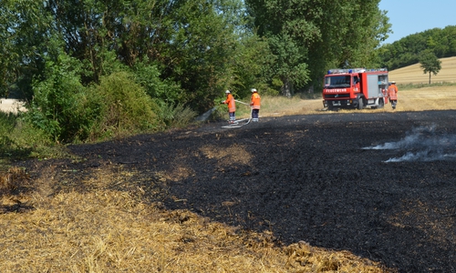Während des Brands in Barnstorf gab es einen Fächenbrand in Sambleben. Foto: Marcus Kordilla