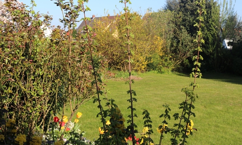 Am kommenden Samstag findet das Sommerfest im  Gartenverein in Veltheim  statt. Symbolfoto: Robert Braumann