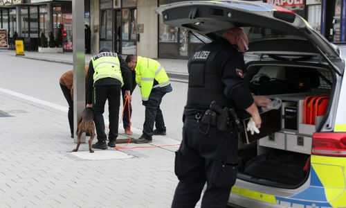 Die Polizei setzte am Nachmittag einen Spürhund in der Stadt ein. Fotos: Rudolf Karliczek