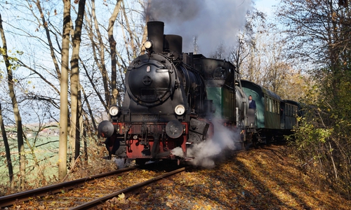 Am 29. Oktober findet wieder die Braunkohlfahrt mit Assebummler statt. Foto: Jens Meyer