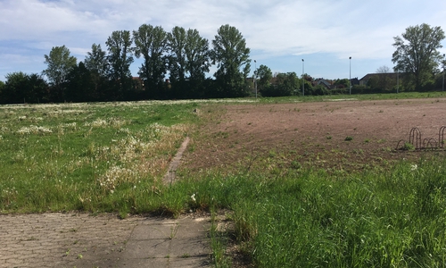 Die ehemalige Kälberwiese in der Feldstraße. Archivbild