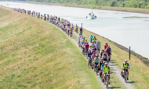 375 Personen erkundeten heute bei einer Tour im Rahmen der Aktion „Radfahren verbindet“ die Region.  Foto: Braunschweig Stadtmarketing GmbH / Frank Sperling