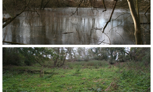 Der Destedter Talteich gefüllt mit Wasser im Februar 2018 und der aktuelle Zustand. Fotos: Diethelm Krause-Hotopp