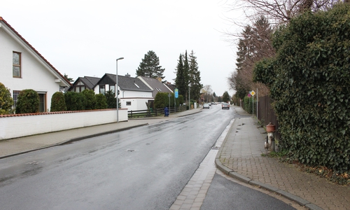 Alter Weg zwischen Mittelweg und Forstweg. Foto: Jan Borner