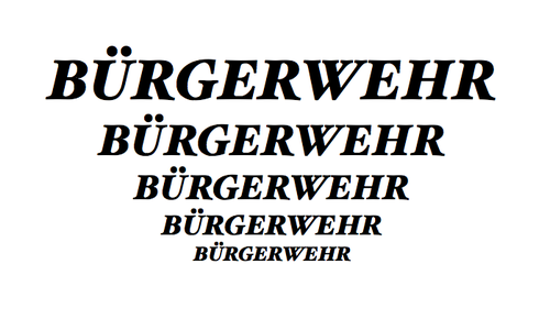 Die Polizei bezieht in einer Pressemitteilung Stellung zu Bürgerwehren, die sich offenbar im Landkreis Goslar bilden. Symbolfoto: 