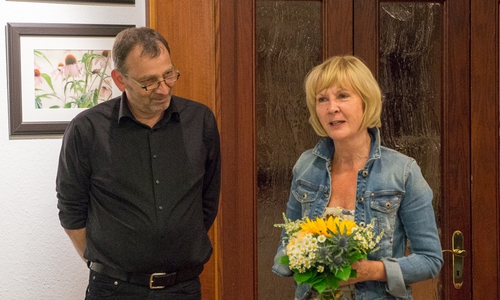 Pothmer kritisierte in der Mitgliederversammlung die "Politik des Aussitzens" der Bundesregierung. Foto: Bündnis 90/ Die Grünen Kreisverband Gifhorn