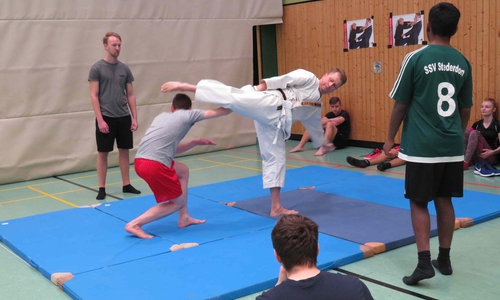 Zu den vorgestellten Sportarten gehörte auch Karate. Fotos: Kreissportbund Peine