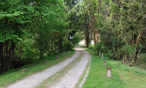 Auf dem Weg zur Seeliger Villa soll die Statue ihren Platz finden. Foto: Max Förster