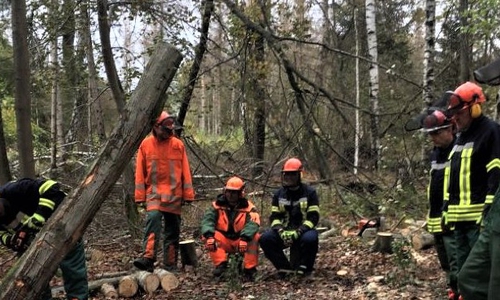 Die Feuerwehrleute beim Kettensägenlehrgang.

Foto: Freiwillige Feuerwehr Cremlingen