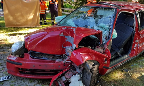 Ein Notarzt und die Teams zweier Rettungswagen konnten dem Fahrer nicht mehr helfen. Foto: Carsten Schaffhauser, Kreisfeuerwehrpressestelle
