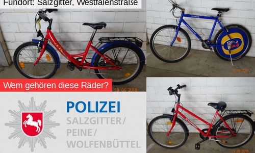 Die Polizei in Lebenstedt bittet die Eigentümer, sich zu melden. Foto: Polizei