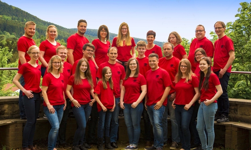 Das Orchester freut sich, am 17. Juni 2017 möglichst viele Besucher begrüßen zu dürfen. Foto: Akkordeon-Jugendorchester Destedt e.V.