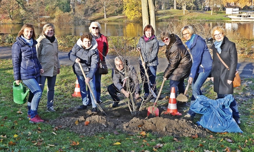 Andrea Schwetje (Vorsitzende), Anja Hartlich (Stadt Wolfenbüttel), Meike Schreiber (stellvertretende Vorsitzende), Brigitte Kolbe, Dirk Fellenberg (Städtische Betriebe Wolfenbüttel), Jutta Diedrich, Anja Glindemann (stellvertretende Vorsitzende), Christiane Rollwage und Gerit Bertram. Foto: Stadt Wolfenbüttel