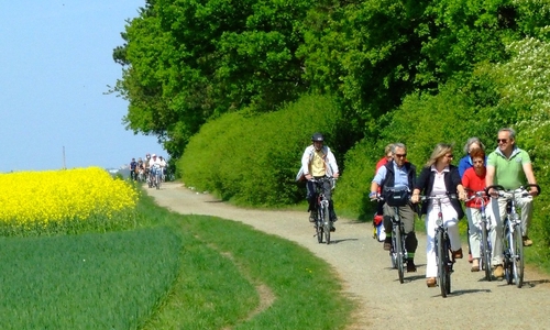 Der ADFC veranstaltet am 9. April eine Radtour durch den Elm. Foto: Langer 