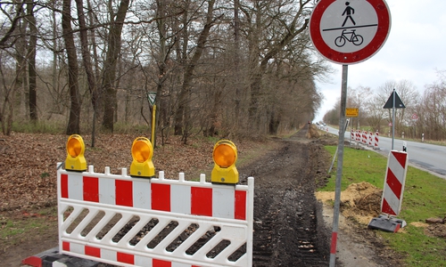 Drei neue Radwege sollen entstehe.Symbolfoto: Max Förster