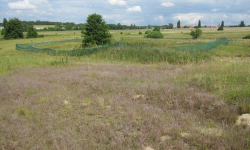 Zäune schützen brütende Vögel sowie Amphibien und deren Laich. Fotos: Landkreis Wolfenbüttel