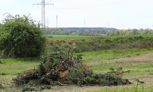 Noch soll in Fümmelse am Osterfeuerplatz nichts angeliefert werden. Foto: Hoefken