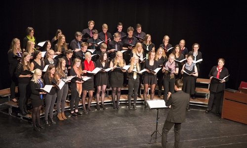 Der Chor des Herzog-Ernst-Gymnasiums Uelzen Foto: Jonathan Loyche
