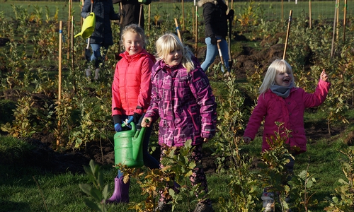 Die Pflanzaktion in Ostrauderfehn war ein ganzer Erfolg. Auch in Wolfenbüttel und Salzgitter soll demnächst gepflanzt werden. Foto: Stiftung Zukunft Wald