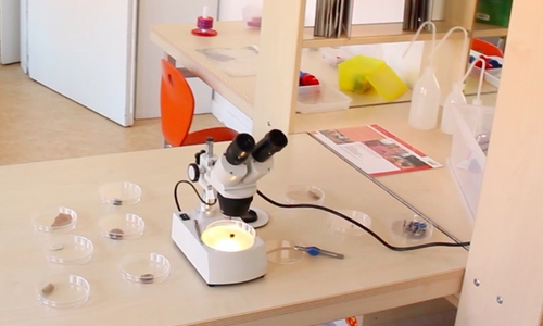 Platz zum Forschen und Experimentieren in einer der drei Lernwerkstätten der Kita Rüsselbande. Foto: Max Förster