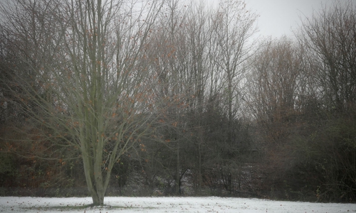 Draußen herrscht teilweise eisige Kälte. Wo kann der Mann nur sein? Foto: Alexander Panknin