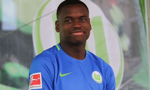 Dimata wechselt als Leihgabe in sein Heimatland. Foto: Frank Vollmer