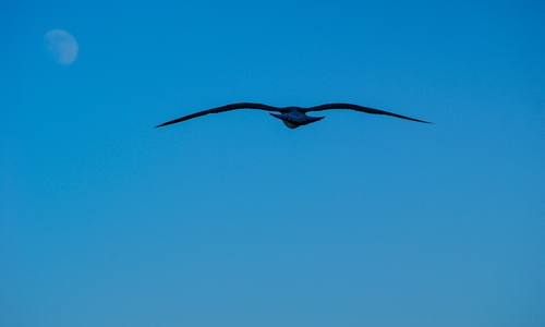 Symbolfoto: Pixabay