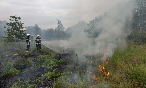 In dem trockenen Gras breitete sich das Feuer schnell aus. Fotos: Feuerwehr Vorsfelde