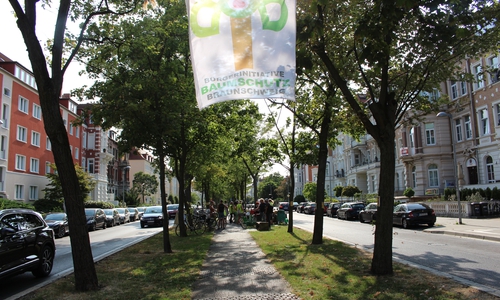 Die NABU Bezirksgruppe Braunschweig unterstützt die  Bürgerinitiative Baumschutz und die geplante Demo am Samstag. Foto: Archiv