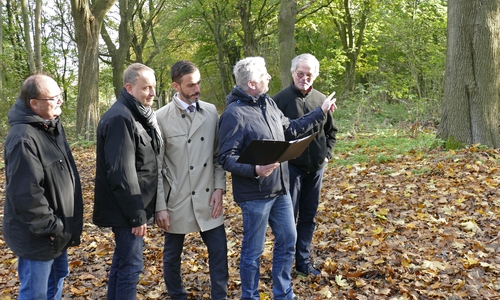 Vertreter der Stadt und des Landkreises Peine sahen sich mit dem Sachverständigen Dr. Reiner Theunert die Bäume im Herzberg an. (Foto: Landkreis Peine)
