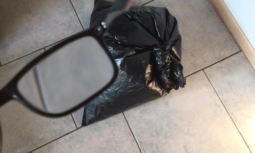 Im Harz künftig wohl keine Seltenheit: "Die Katze im Sack". Foto: Karl-Heinz Kluschke