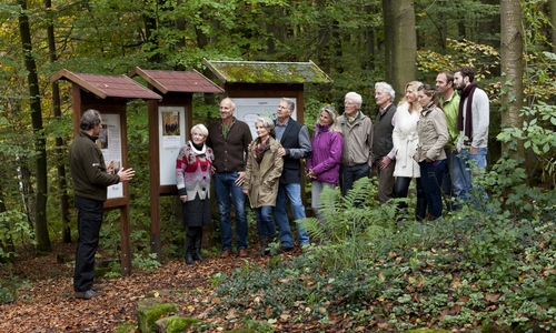 Foto: Landesforsten