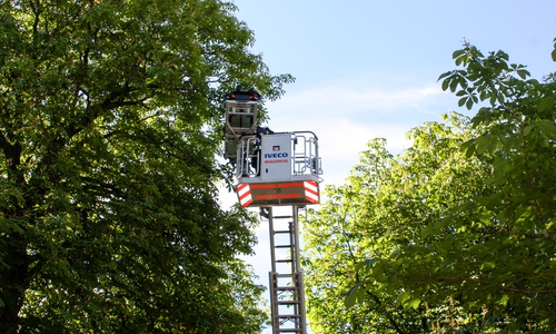 Ein Patient musste am Dienstagmorgen mittels Drehleiter aus seiner Wohnung geholt werden. Foto: Feuerwehr Bad Harzburg. Foto: Feuerwehr Bad Harzburg