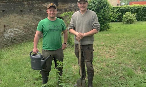 Im Kirchgarten pflanzen Vorsitzender Jörn Alpers (r.) und Ortsbürgermeister Tobias Schliephake (l.) einen der sechs angeschafften Spätblüher. Foto: Privat