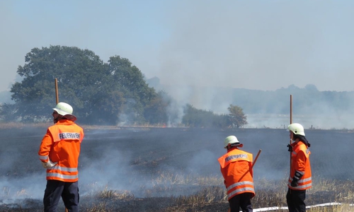 Ein fast schon gewohntes Bild in den vergangenen Tagen. Fotos: Feuerwehr Königslutter
