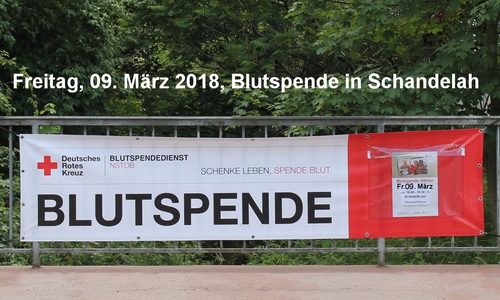Foto: Feuerwehr Schandelah