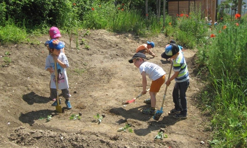 Beim Pflanzen und Säen waren die Kinder mit viel Freude und Spaß dabei. Foto: Kirsten Raschka