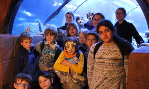  Die Gruppe zu Besuch im Sealife.