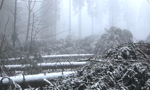 Die Aufräumarbeiten können sich noch lange hinziehen. Video: aktuell24(KR)