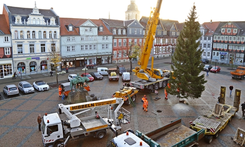 Die Friedenstanne wurde auf dem Stadtmarkt aufgestellt. Fotos: Stadt Wolfenbüttel