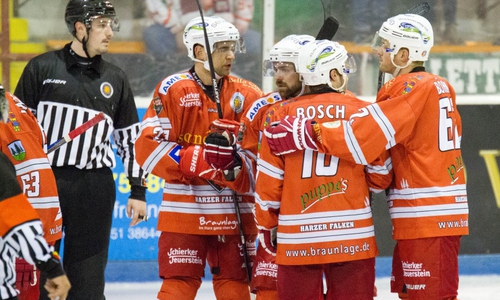 Die Harzer Falken haben eine schwere Saison hinter sich. Die Rahmendaten für die neue Spielzeit stehen nun fest. Symbol-Foto: Brandes/Sportfotos BS